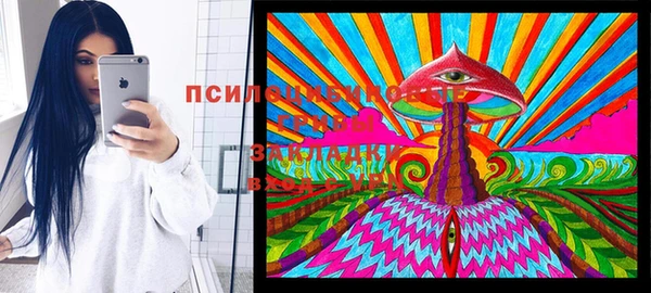 мяу мяу мука Белокуриха