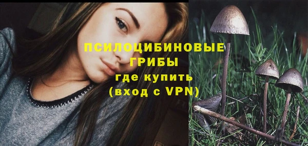 мяу мяу мука Белокуриха