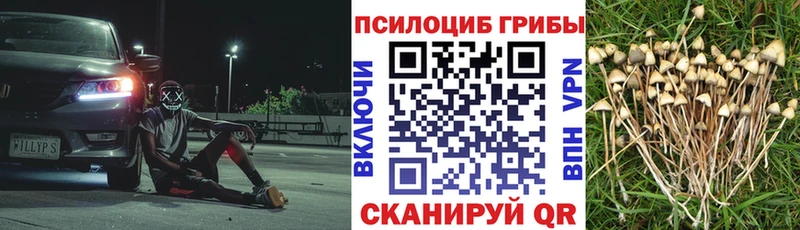 Псилоцибиновые грибы мухоморы  Кореновск 